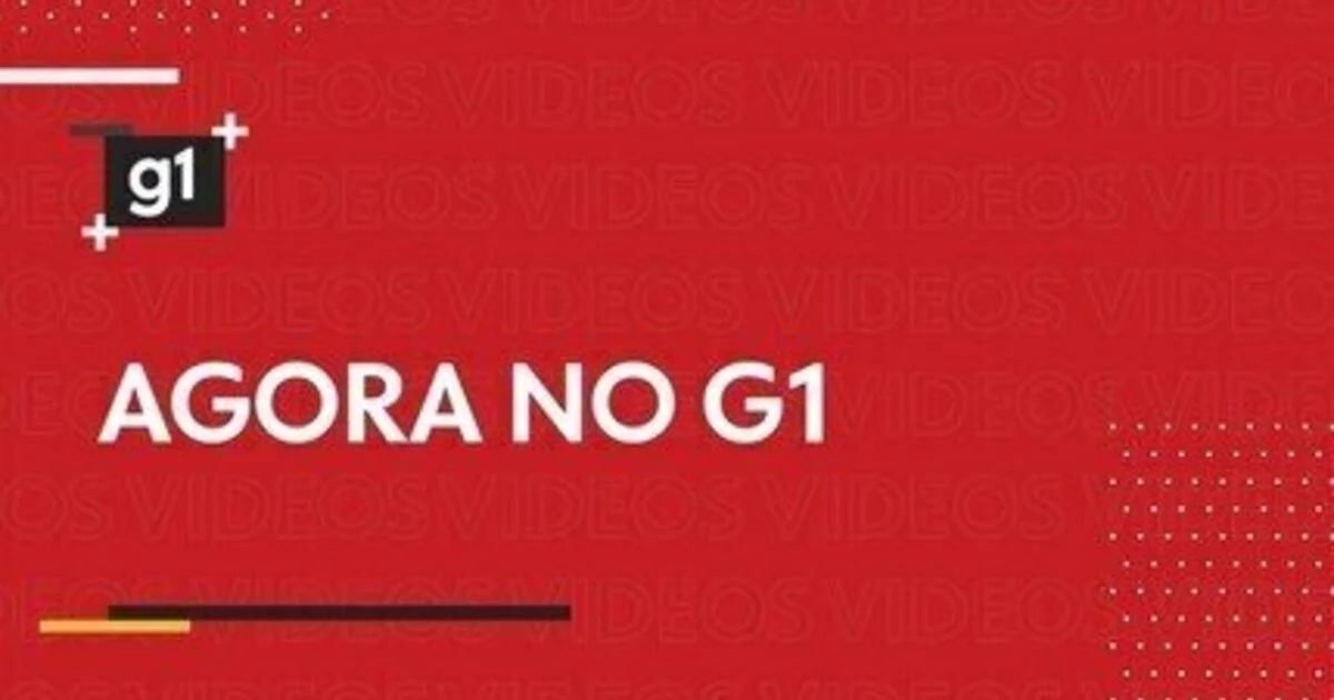 apostas esportivas